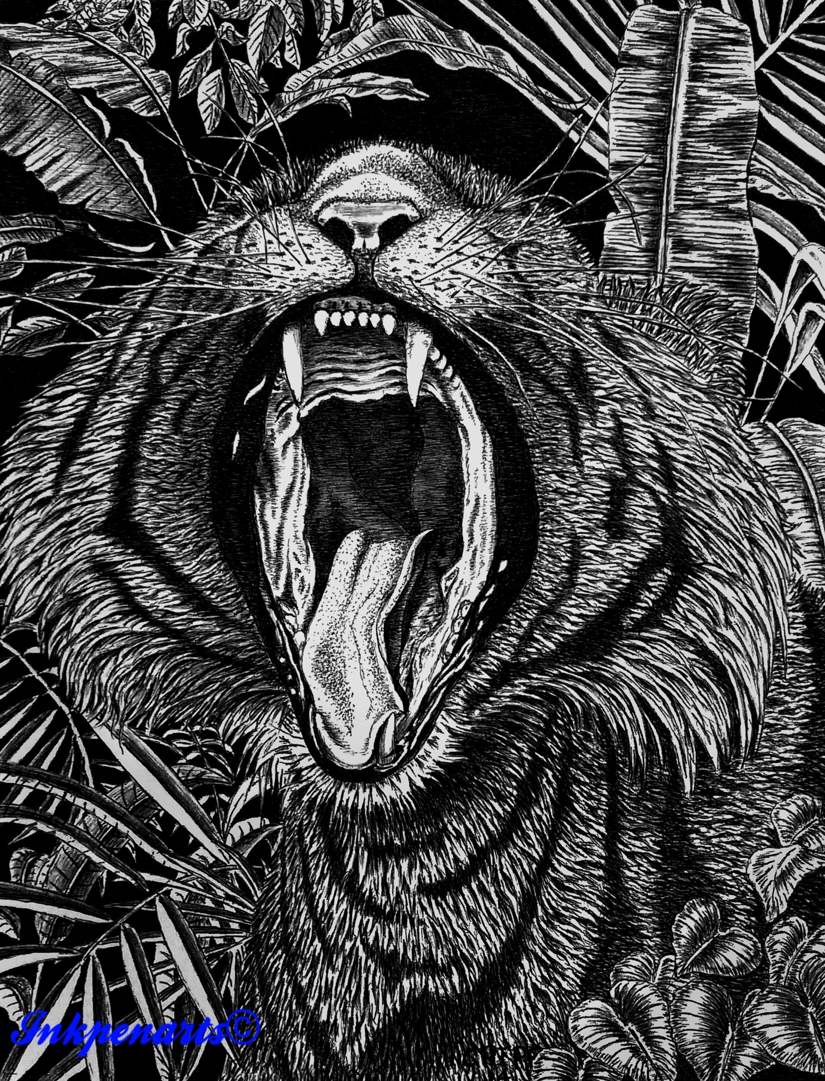 Pen and Ink rendering