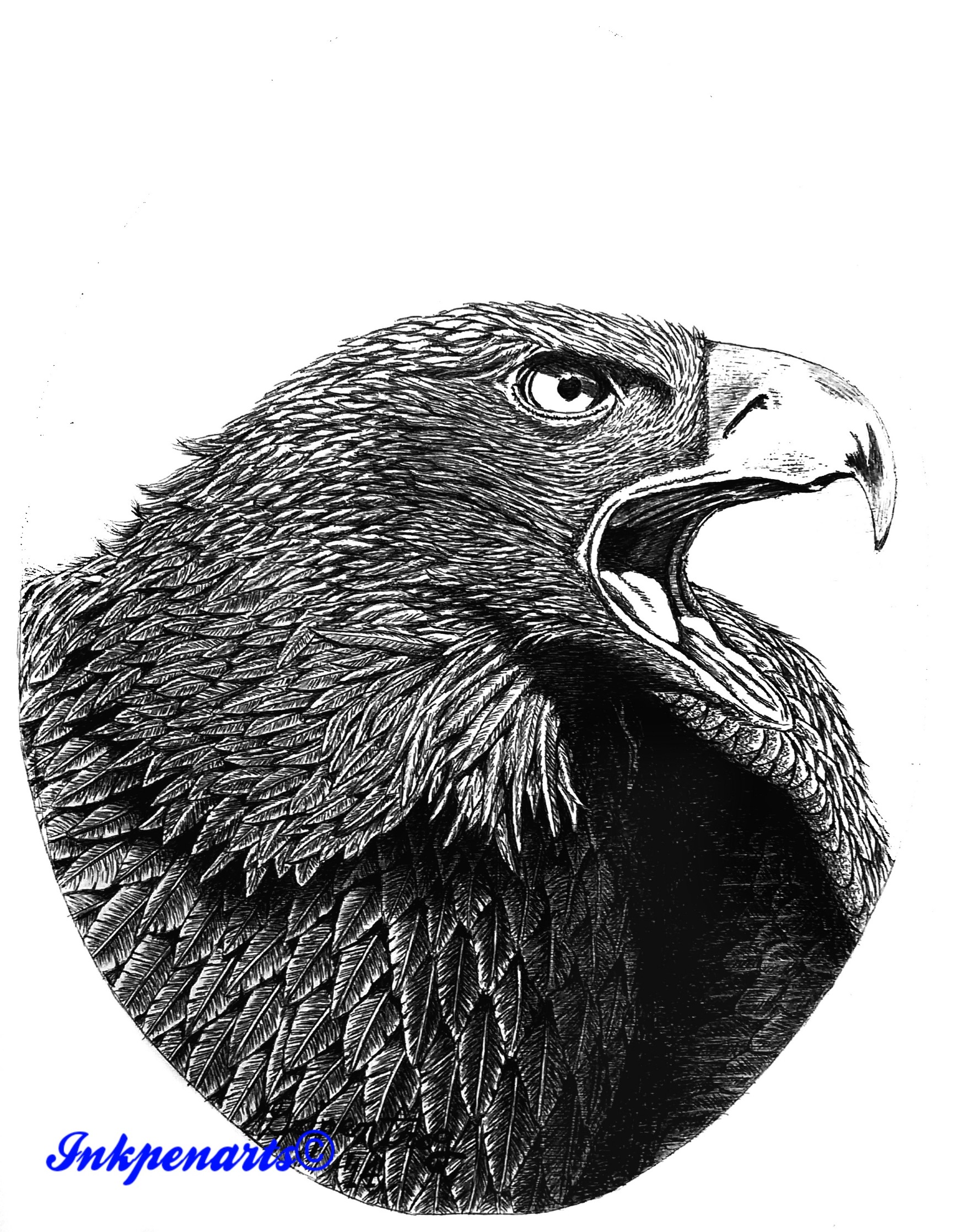 Pen and Ink rendering