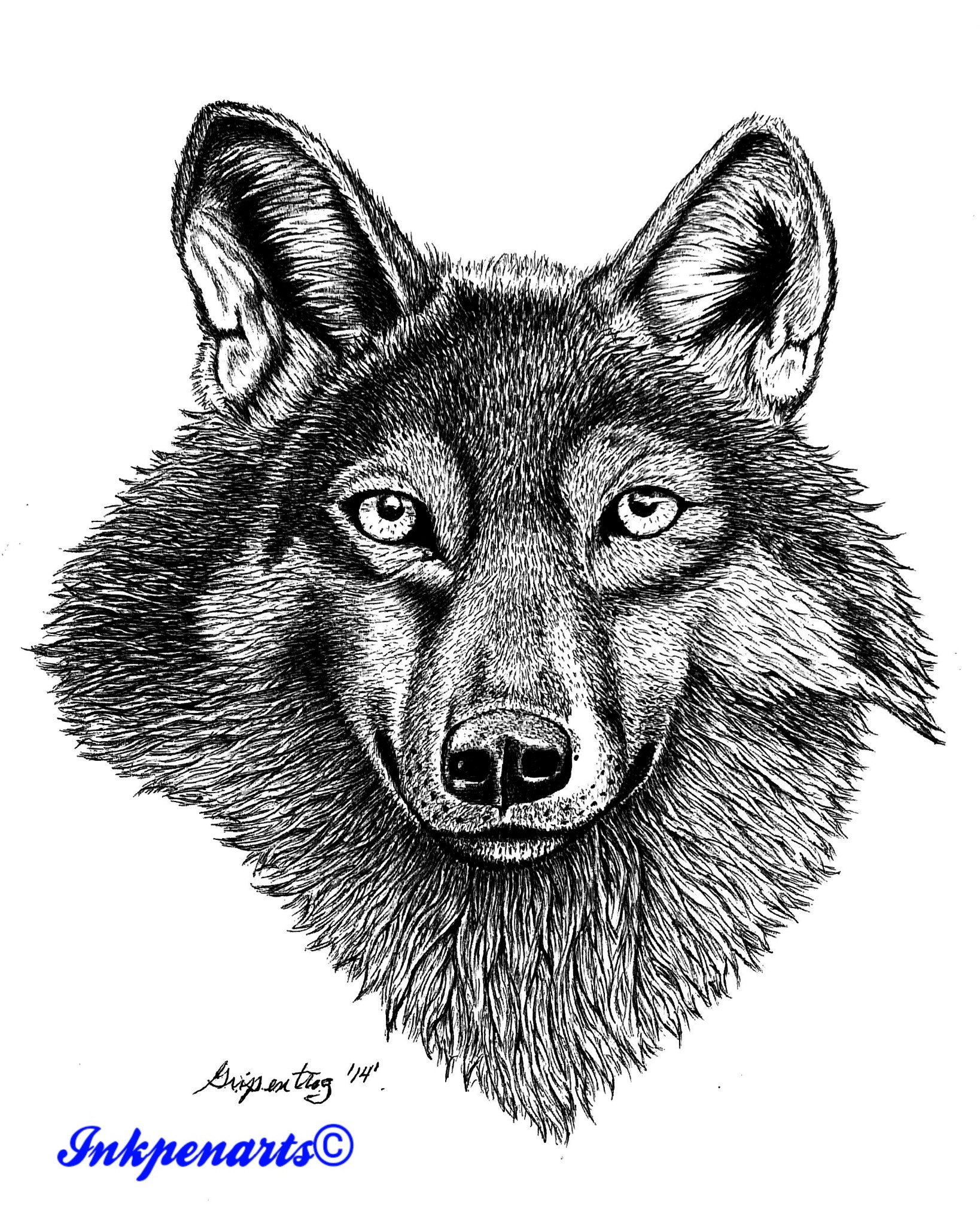 Pen and Ink rendering