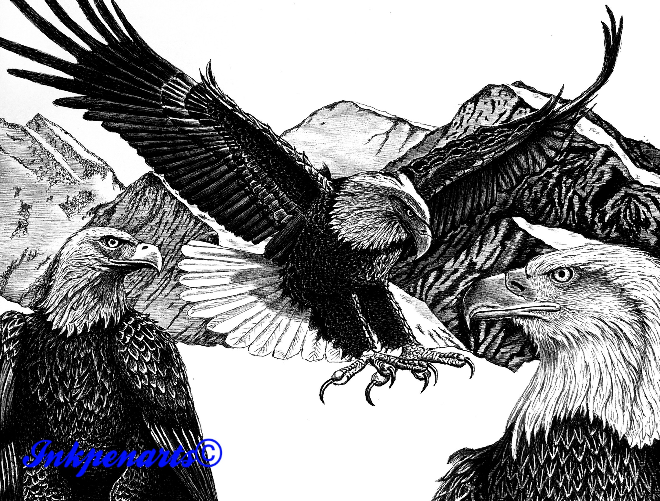Pen and Ink rendering